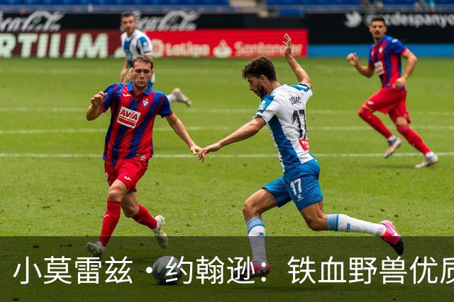 小莫雷兹·约翰逊：铁血野兽优质冠军拼图 开发三分顺位直逼乐透